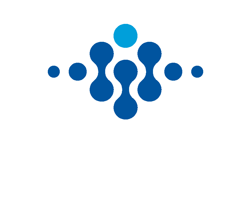 WWise logo